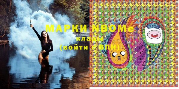 гашик Новодвинск
