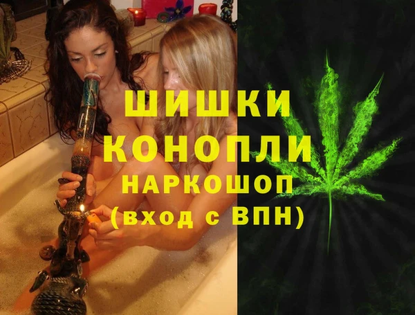 гашик Новодвинск