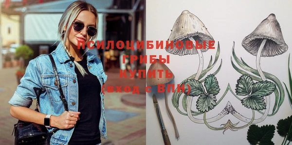 марки nbome Новозыбков