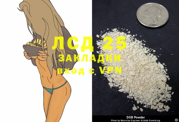 эйфоретик Няндома