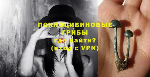 гашик Новодвинск