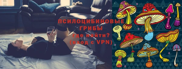гашик Новодвинск