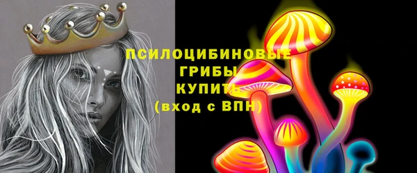 марки nbome Новозыбков