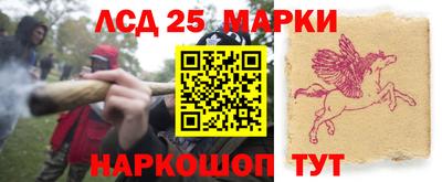 ешки Дубна