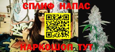 крисы Берёзовский