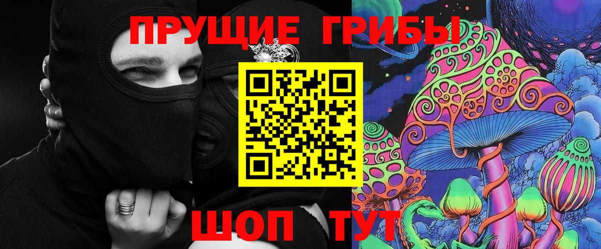 сколько стоит  Кизляр  Псилоцибиновые грибы Psilocybine cubensis 